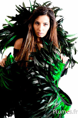 Kraag Haan zweep - lange. veeren 20-25 cm - zwart-groen